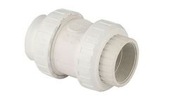 Pimtas - Model PP - Double side Internal Threaded Spring Check Valve