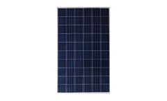 JSSolar - Model JS157P60-280W - Polycrystalline Photovoltaic Panels