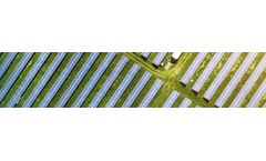 Utility-Scale Services