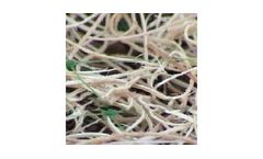 BIOMAT - Model Curlex - Wood Fiber Erosion Control Blankets