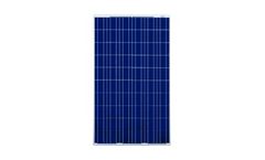 Model CS6P-235PX - Canadian Solar Electric Panel
