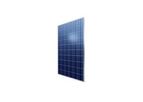 AXIpower - Model AC-240-255W/156-60S  - Photovoltaic Module