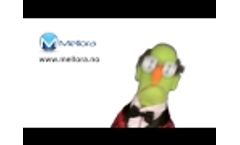 Harold informs! - Video