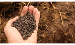 BTS - Model BIODry - Ammonium Sulphate