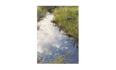 Wetland Permitting And Mitigation Design