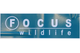 Focus Wildlife