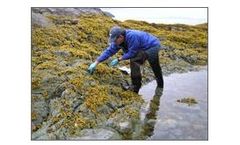 Environmental Monitoring