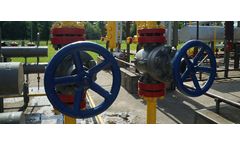 Planck - End User Import of Natural Gas Projects Engineering Service