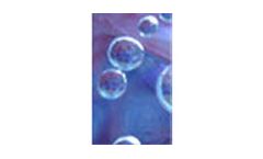 Biological Processes Services