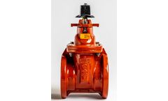 Kennedy - Model C509 KS MJ x MJ - 2" Gate Valve