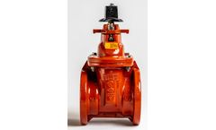 Kennedy - Model C509 KS MJ x MJ -  2 1/2" Gate Valve