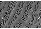 Zena - Model P60 - Polypropylene Hollow Fiber Membrane