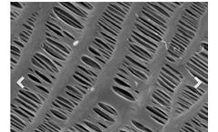 Zena - Model P60 - Polypropylene Hollow Fiber Membrane