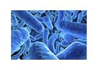 Bacteria and Biofilm Control