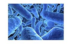 Bacteria and Biofilm Control