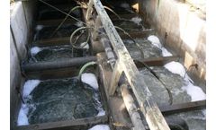 Novotec - Submerged Aerated Fixed Bed Reactor (SAF)