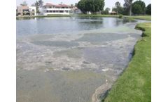 Waste-water treatment solutions for sludge sector