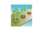 Tree Anchoring System