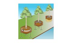 Tree Anchoring System