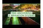 Platipus Tree Anchoring & Irrigation Systems - Video