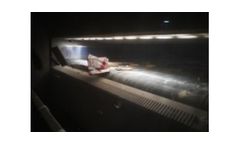 Wood Sorting Machine