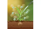 HGS BioScience - Model Ful-Grow MAX  - Fulvic Acid Adjuvant