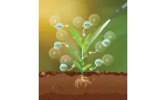 HGS BioScience - Model Ful-Grow MAX  - Fulvic Acid Adjuvant