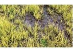 SepticSAVER - Septic System