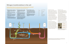 Field Applied Nitrogen Fertilizer Brochure