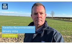 Overcoming Root Challenges Post-Heavy Rainfall - Video