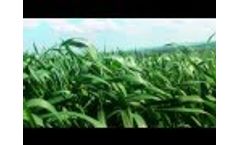 Feeding the Future Video