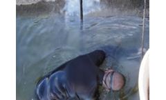 Neoferma - Gasket For Expansion & Compression Joints