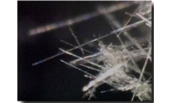 Asbestos Consulting Services