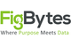 FigBytes