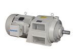 Dynamatic - Model AT - Variable Speed Air Cooled Drives