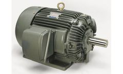 Dynamatic - Model Types I and II (WPI, WPII) - Weather Protected Types Motor