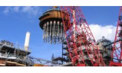 Petrochemical Services