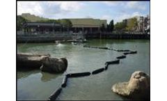 Aquatic Entertainment Services