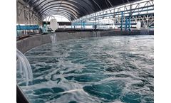 Filter media for Aquaculture