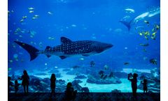 Warden Biomedia’s filter media used in one of the world’s largest aquariums
