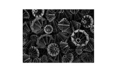 Warden Biomedia - Filter Media Services