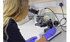 Bowman - Research & Development Services