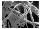 EP Minerals - Cellulose Fibers