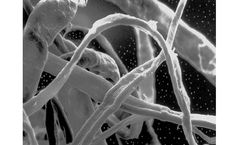 EP Minerals - Cellulose Fibers
