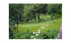 Landscape Integration Plan