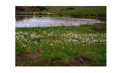 Ecological And Environmental Baseline Studies