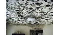 Indoor air quality problems