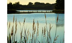 Permitting & Regulatory Services