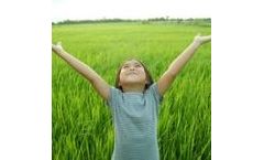 Omega-3s - Microalgae - Better Health