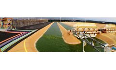 ReNew - Microalgae Feedstock for Omega-3 EPA and DHA Oils and Biofuel